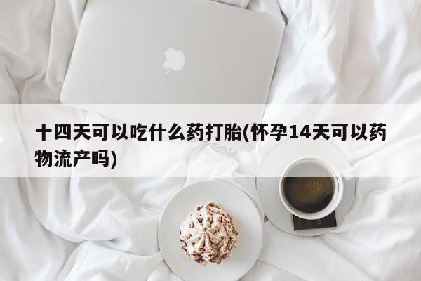 卖打胎药的联系方式或微信十四天可以吃什么药打胎(怀孕14天可以药物流产吗)